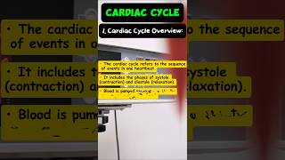 CARDIAC CYCLE🫀🫰🏻🤩 shorts nursing mbbs [upl. by Aiela]