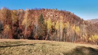 Poiana Marului  Brasov  un sat cu un peisaj superb la o altitudine de 1100m  Casa Dor de Munte [upl. by Galliett967]