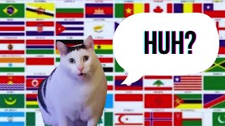 Huh in Different Languages meme [upl. by Lerred344]