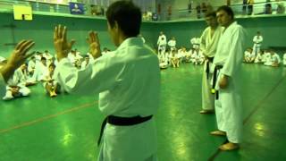 Masao Kawasoe Sensei Seminar 2013 part 4 [upl. by Orag351]