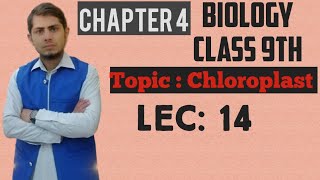 Chloroplast Explained  Class 9th Chp  4  Lec 14 [upl. by Lleroj]