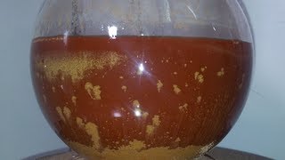 Gold Reduction with Oxalic Acid Complete Process [upl. by Landers]