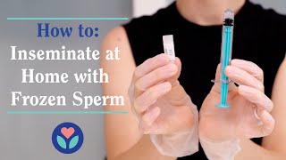 How to Inseminate at Home with Frozen Sperm and The Mosie Kit [upl. by Brantley]