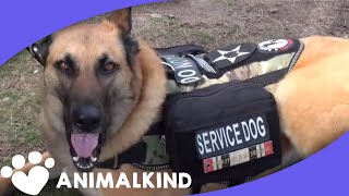 Watch service dog calm war vets PTSD reaction [upl. by Ax]