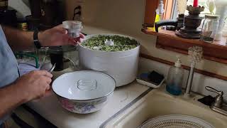 How to make stevia powder  replace sugar with stevia [upl. by Kalin619]