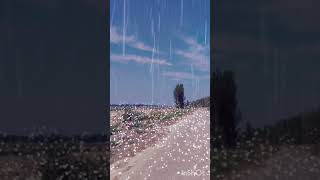 Hailstones💦💦💦💦💦 youtubeshorts funny viralvideo funnyvideo foryou [upl. by August]