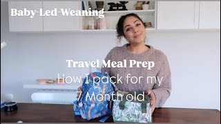 BABYLEDWEANING  HOW I PACK FOR MY 7 MONTH OLD  TRAVEL MEAL PREP  Anita Arora [upl. by Ayimat]