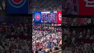 MLB London Series 2023 World tour cardinals londonseries mlb chicagocubs [upl. by Lenaj299]