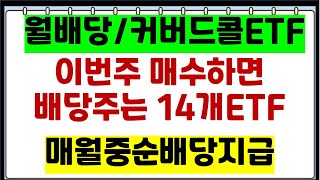 월배당ETF 이번주 매수하면 배당주는 ETF 14개  매월중순 배당ETF커버드콜ETF포함 [upl. by Haydon]