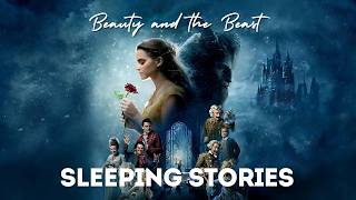 Relaxing Rain amp Storytime Beauty and the Beast for GrownUps [upl. by Adi]