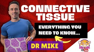 Connective Tissue  Everything you need to know [upl. by Dante267]