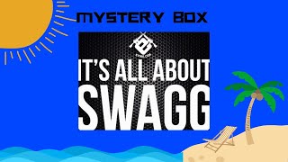 The Evike SUMMER 2024 Swagg Pack Edition Airsoft Mystery Box Opening [upl. by Blondelle138]