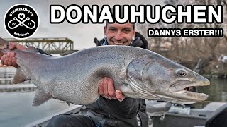 HUCHENFISCHEN in der DONAU 🎣❤️ Vertikalangeln Spinnangeln Schleppangeln auf Zander und Huchen [upl. by Peonir]