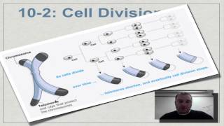 Chapter 10 Part 8  The Hayflick Limit and Telomeres [upl. by Haneekas]