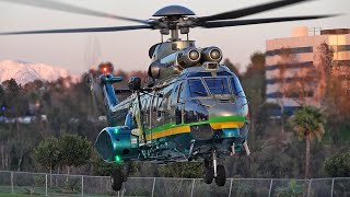 Airbus Helicopters AS332 L1 Super Puma Los Angeles County Sheriff landing amp take off [upl. by Ciri]