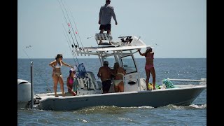 St Simons Marina Tripletail Tournament [upl. by Dorothee]