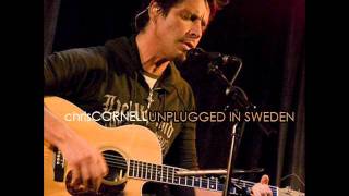 Chris Cornell  Fell on Black Days Soundgarden [upl. by Schuster]