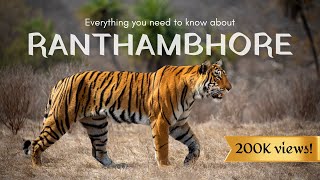 7 Reasons why RANTHAMBHORE is the best park in India for Tiger Safaris [upl. by Halden]