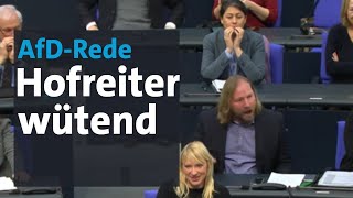 Anton Hofreiter flippt bei AfDRede von Curio im Bundestag aus  BR24 [upl. by Chenee90]