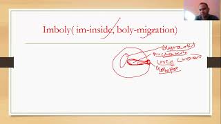 gastrulation in frog class 12 biology [upl. by Arquit219]