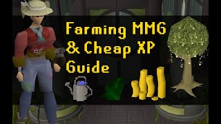 OSRS How to Train Farming Complete Guide 2020 [upl. by Atile779]