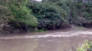 Outgoing Muddy Tide on the River Avon UK [upl. by Acirem370]