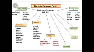 The IndoEuropean Language Family Explanation In Malayalam Linguistics [upl. by Hump]