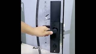 Z12 Tuya App Smart Door Lock Biometric Fingerprint Remote Unlocking Smart Lock [upl. by Ayn790]