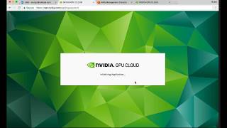 NVIDIA GPU Cloud with AWS Step by Step [upl. by Birgit]