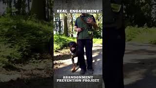 How do we Create Natural Engagement in Dog Training [upl. by Floyd]