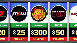 Richest Wrestling Companies In 2024 [upl. by Eelnodnarb]