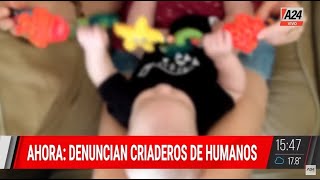 DENUNCIAN CRIADEROS DE HUMANOS ¿Hay una quotfábricaquot de bebés en Córdoba [upl. by Pope]