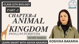 PART 2  Class 11 chapter 4 Animal Kingdom  Basis of classification koshika Bakaria [upl. by Rehtaef]