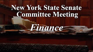 Senate Standing Committee on Finance  04092024 [upl. by Zobkiw172]