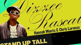 Dizzee Rascal X Hannah Wants amp Chris Lorenzo  Stand Up Tall Bassline Grime Bootleg [upl. by Ennaihs]