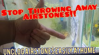 How to unclog Aquarium airstones aquariumhobby aquarium fishkeeping fishbreeding tropicalfish [upl. by Frye]