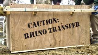 Operation Rhino  Brookfield Zoo [upl. by Nahsed667]