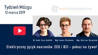 Elektryczny język neuronów EEG i BCI  pokaz na żywo [upl. by Hanny917]