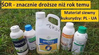 Ceny ŚOR i Materiału Siewnego Kukurydzy  polskie i ukraińskie oferty [upl. by Ecnerewal]