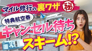 【特典航空券の真実】特典航空券のキャンセル待ちは〇〇すると取りやすい！？確実にゲットするならココが大事！！ [upl. by Ayila117]