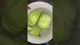 Clean your cabbage produce cabbage green [upl. by Arivle]