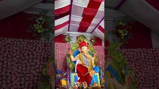 Suhagi ke राजा 👑 jabalpur ganpati ganpatibappamorya ganpatibappa ganesh ganeshchaturthi [upl. by Marlene]