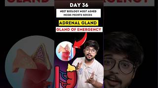 Adrenal gland Chemical Coordination amp Integration NEET Biology Most Asked MCQs Points Day 36 neet [upl. by Neztnaj]