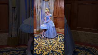 Disney Character Meet and Greet  Disney World Vlog  Meeting Every Princess at Disney World [upl. by Neira]