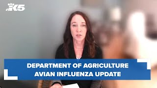 WATCH Update on avian influenza in Washington [upl. by Eahsan448]