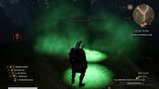 The Witcher 3 fast meditation glitch [upl. by Analem]