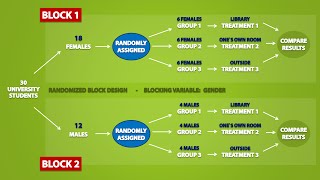 Types of Experimental Designs 33 [upl. by Afira]