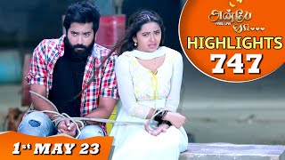 Anbe Vaa Serial  EP 747 Highlights  1st May 2023  Virat  Delna Davis  Saregama TV Shows Tamil [upl. by Enelegna]