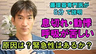 【息切れ・動悸、呼吸が苦しい症状】循環器内科専門医が8分で説明 原因は？緊急性はあるか？ [upl. by Champagne]