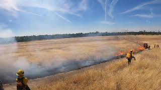 2024 Bidwell Park  Grassland Burning Tactics [upl. by Lambart]